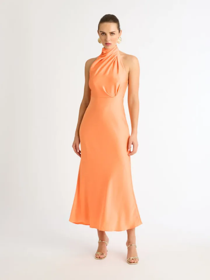 Woman SHEIKE Jasmine Midi Dress