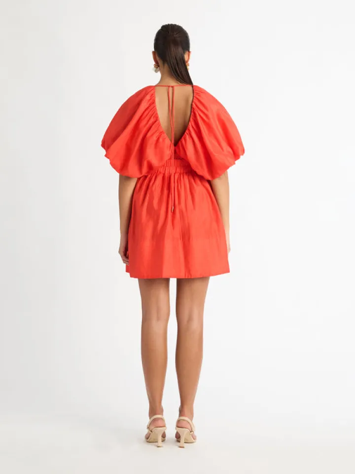 Woman SHEIKE Lexie Dress